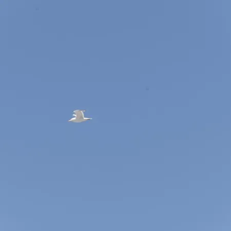 Holiday home Aceri Baia By Nonsolomare Vacanze Srlu