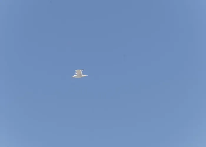 Vakantiehuis Aceri Baia By Nonsolomare Vacanze Srlu